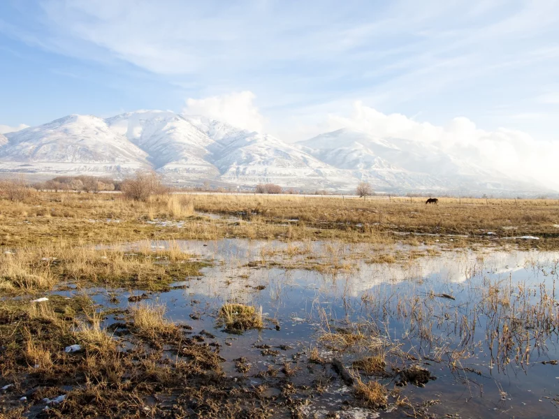 лошадь, поле, вода, горы, небо