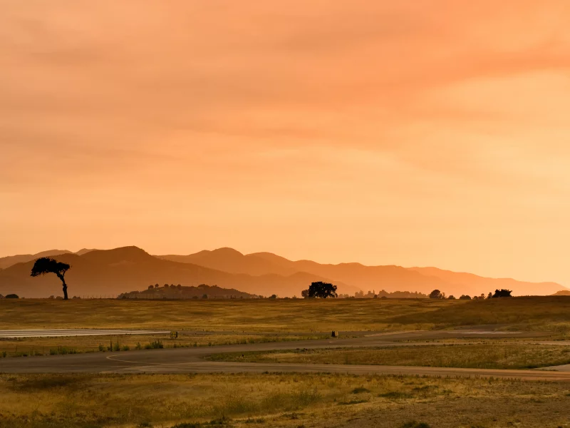 road, landscape, grass, пейзаж, свет, трава, небо, sunset, 2560x1600, деревья, nature, sky, trees, light, закат, дорога, природа