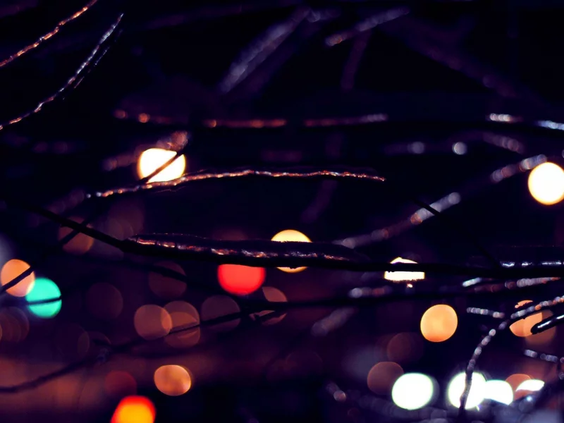 огни, bokeh, лед, ветки