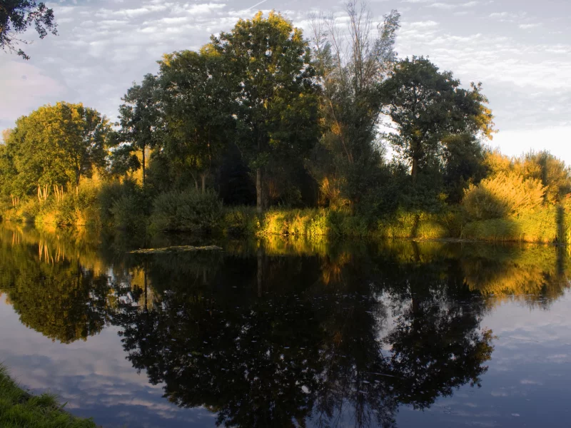зеркало, деревья, река, природа