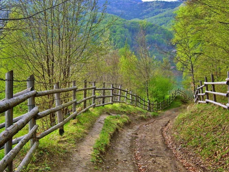 дорога, лето, забор