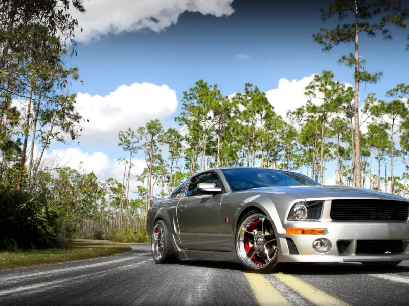 диски, небо, мустанг, серый, ford, mustang, форд, облака, деревья, дорога