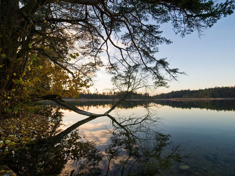 вода, отражение, shore, trees, небо, water, берег, природа, forest, деревья, 1920x1200, sky, лес, lake, nature, пейзаж, озеро, landscape, reflection