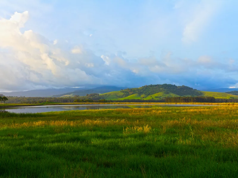 nature, облака, пейзаж, water, природа, clouds, небо, lake, greenery, sky, озеро, landscape, вода, grass, деревья, trees, 2560x1600, трава, зелень