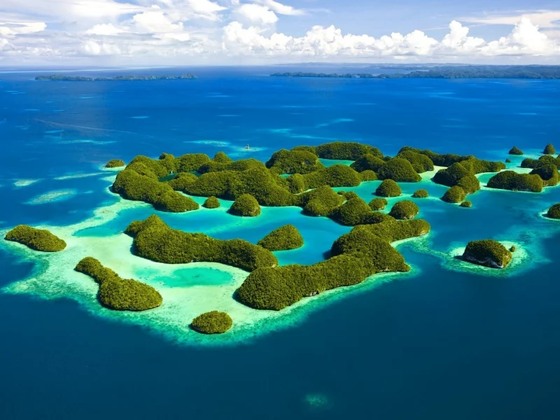 море, острова, зелень, океан