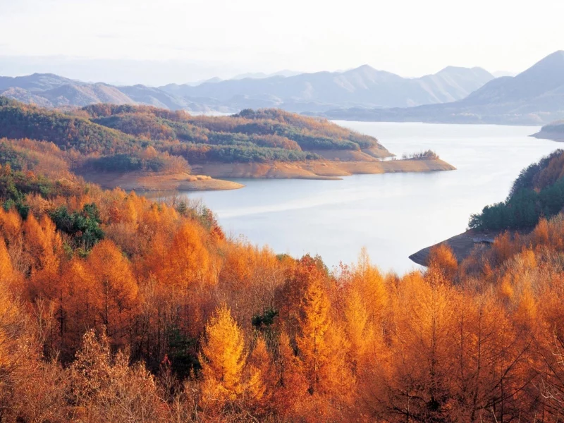 горизонт, осень, река, горы, деревья