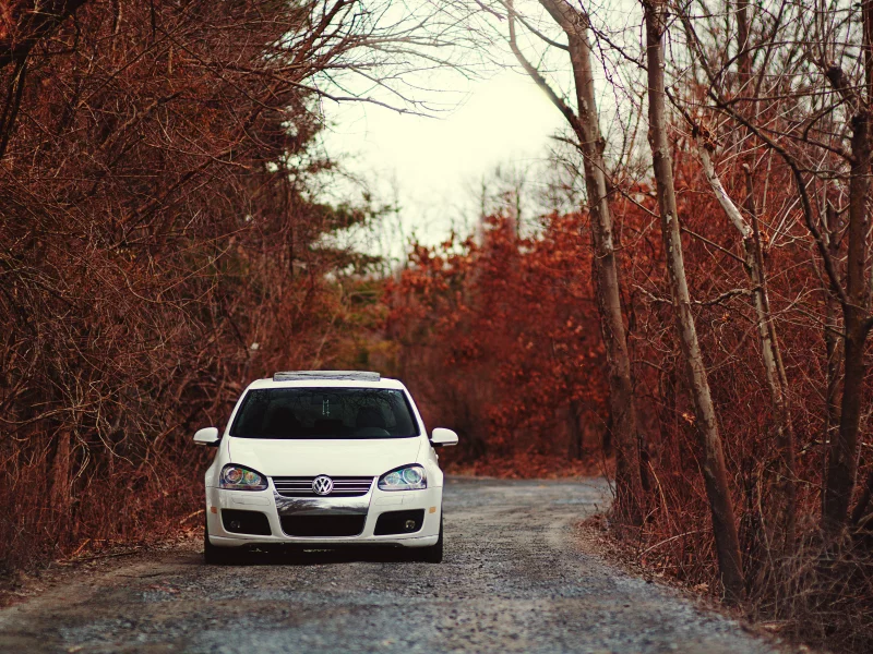 golf 5, volkswagen, gti, деревья, cars, дорога, природа, vw, ветви, auto