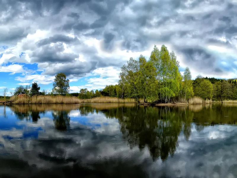 природа, дервья, пейзажи, вода, обои на рабочий стол, красота, красивые обои, растения