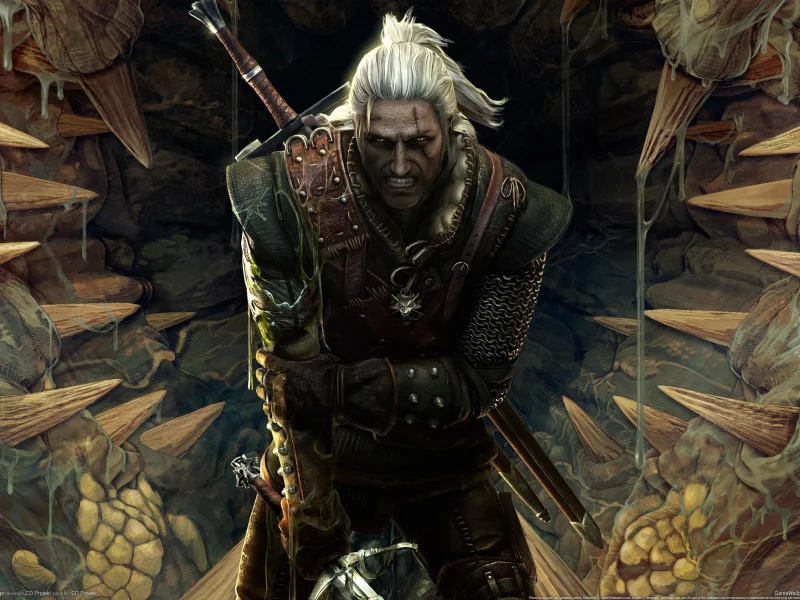 assassins of kings, ведьмак, the witcher