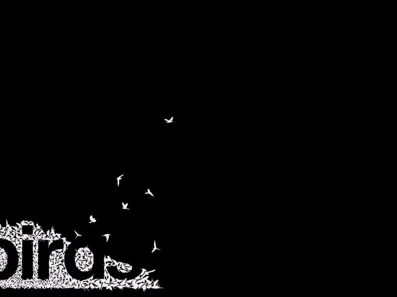 минимализм, birds, птицы, надпись, чёрно-белое