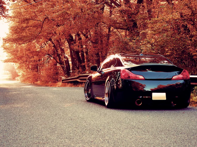 g37, infiniti, осень