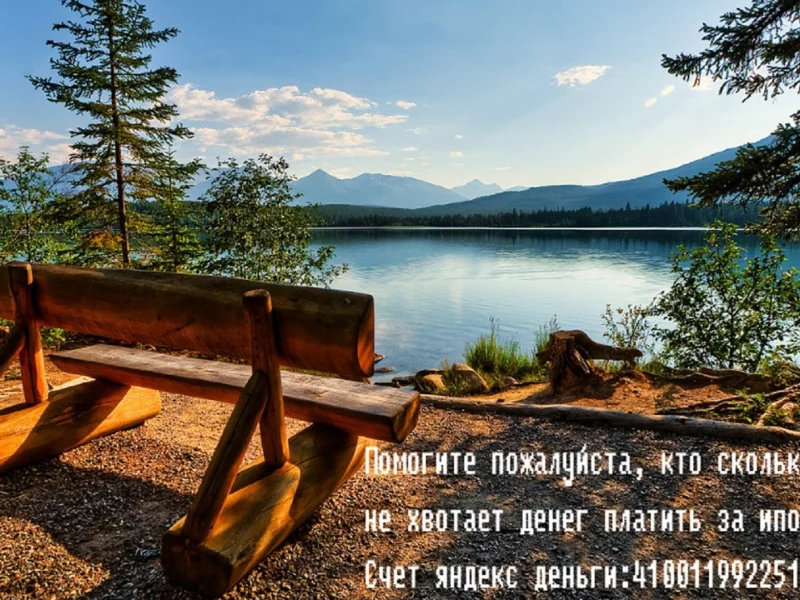 озеро, лес, скамейка
