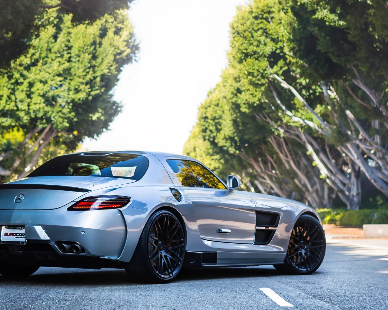 sls, мерседес, амг, silver, road, mercedes, серебро, tree, amg, back