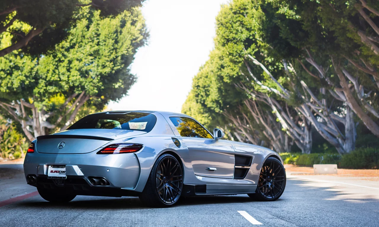 sls, мерседес, амг, silver, road, mercedes, серебро, tree, amg, back