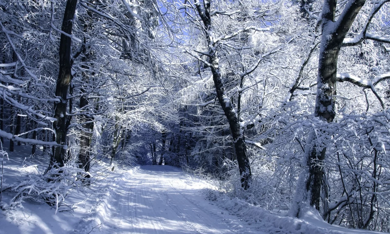 снег, автор, дорога, пейзаж, janek sedlar, холод, деревья, зима