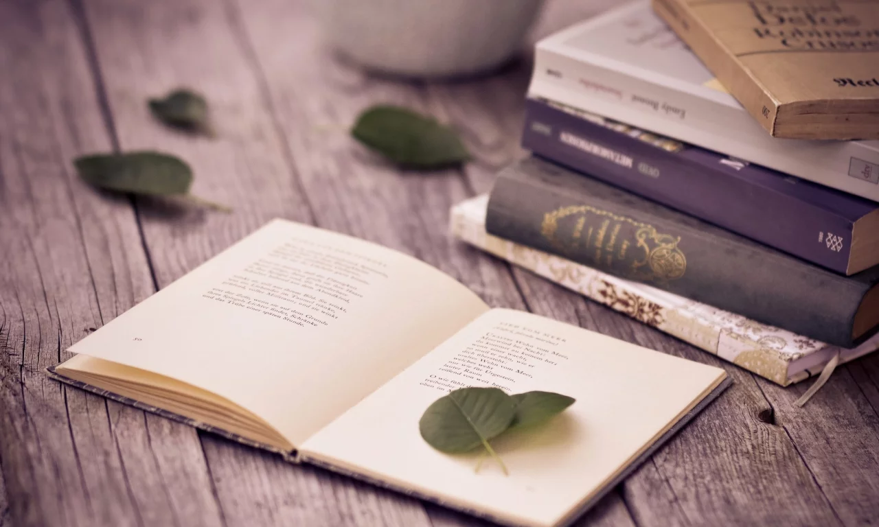 листья, стол, стихи, книги, страницы