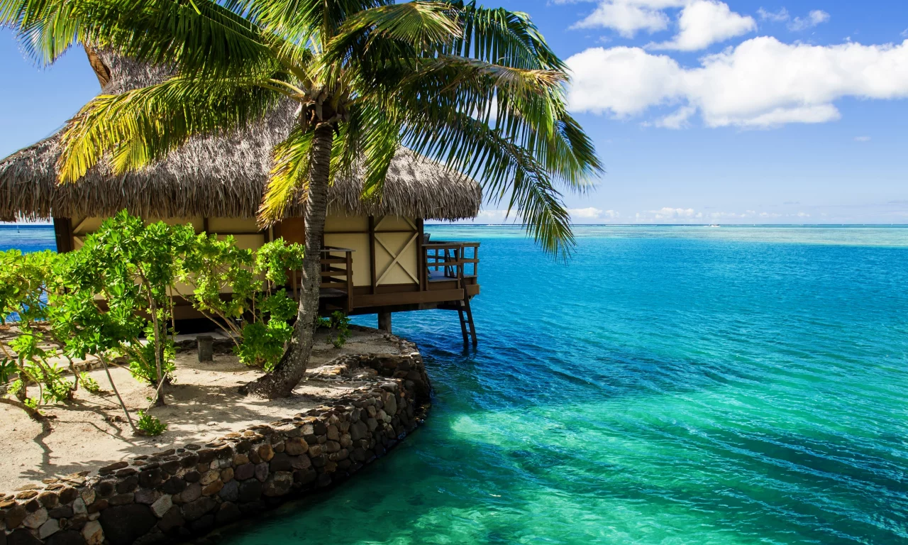 maldives, бунгало, пальма, домик, вода, океан, мальдивы