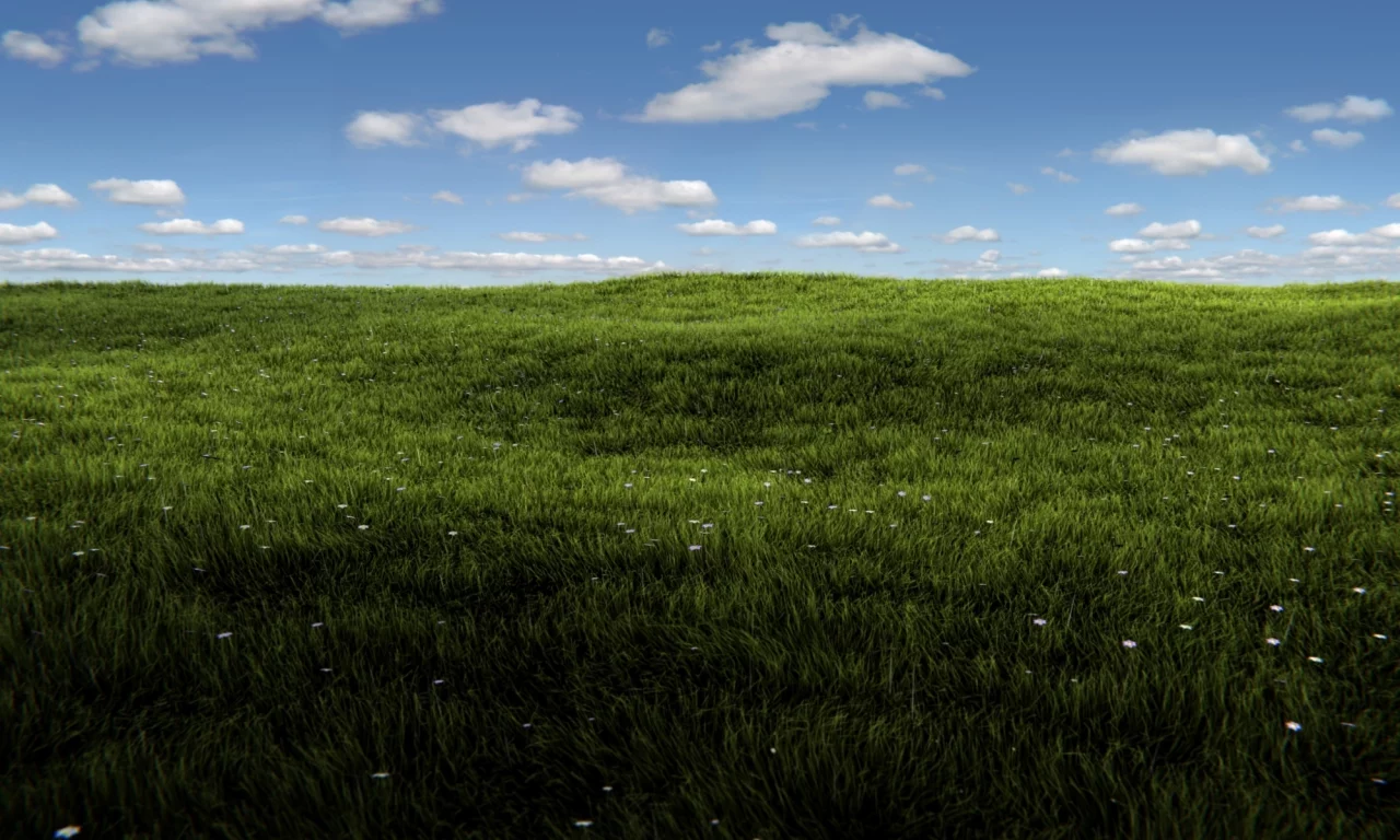 солнце, трава, blender, render, sunshine, grass, field, summer, зелень, небо