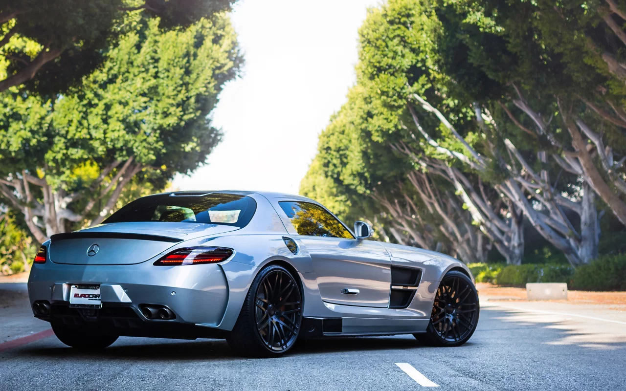 sls, мерседес, амг, silver, road, mercedes, серебро, tree, amg, back