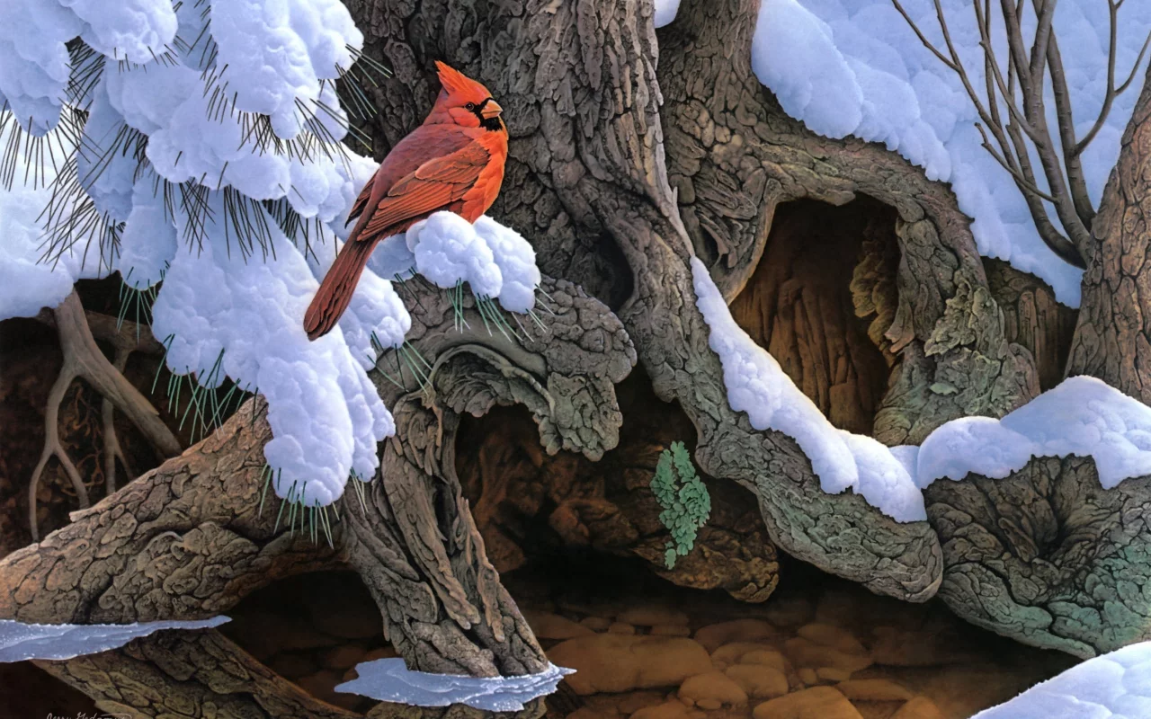 дерево, зима, the witness tree, снег, jerry gadamus, птица, живопись