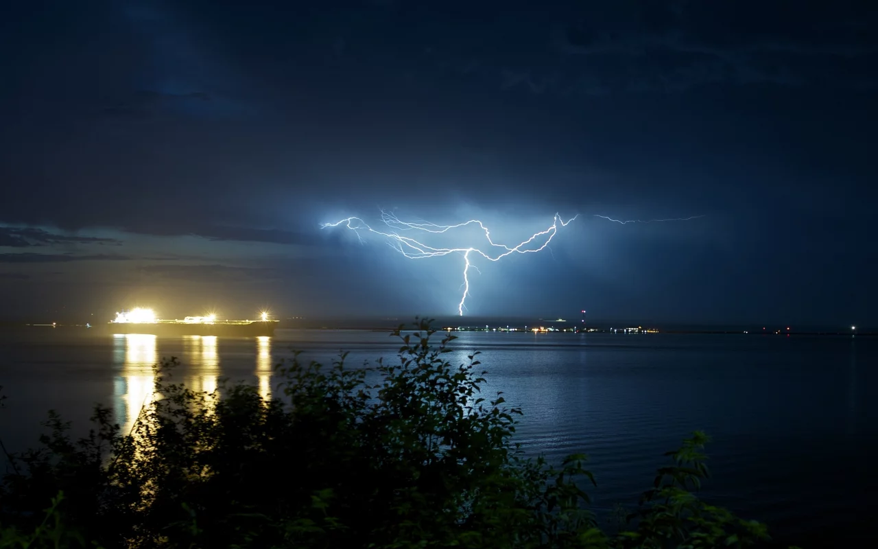 деревья, дерево, океан, листочки, листья, море, природа