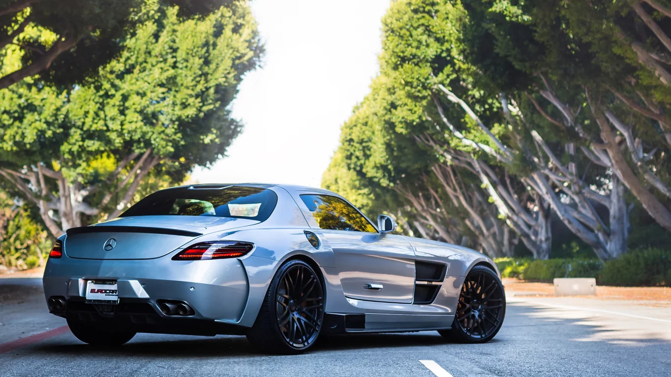 sls, мерседес, амг, silver, road, mercedes, серебро, tree, amg, back