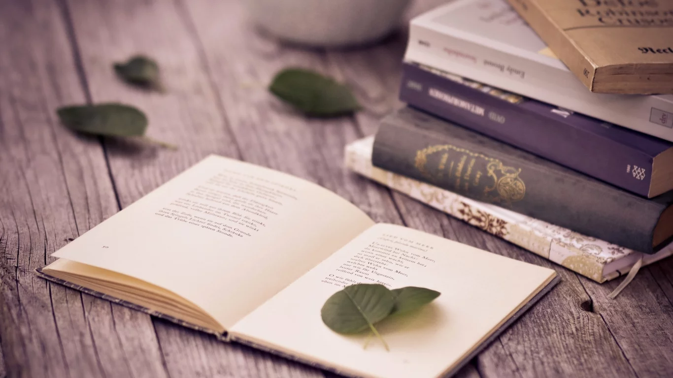листья, стол, стихи, книги, страницы
