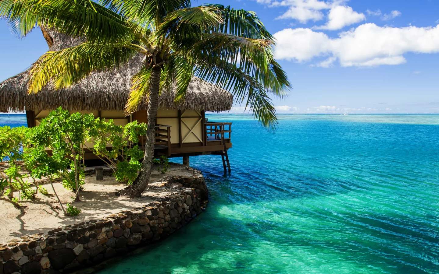 maldives, бунгало, пальма, домик, вода, океан, мальдивы