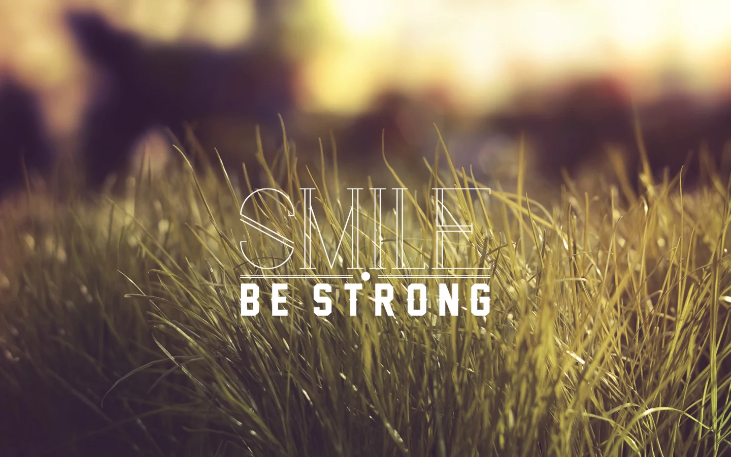 be strong, слова, smile, трава