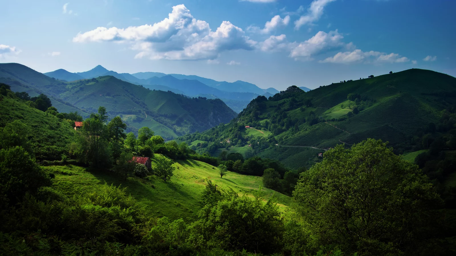 холмы, астурия, испания, кантабрийские горы, зелень