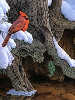 дерево, зима, the witness tree, снег, jerry gadamus, птица, живопись