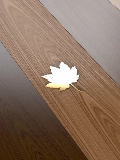 лист, дерево, кленовый, паркет