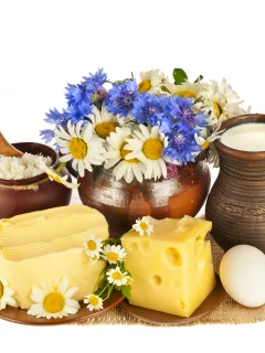 ромашки, горшочек, кувшины, циновка, блюдца, сыр, цветы