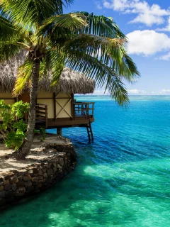 maldives, бунгало, пальма, домик, вода, океан, мальдивы
