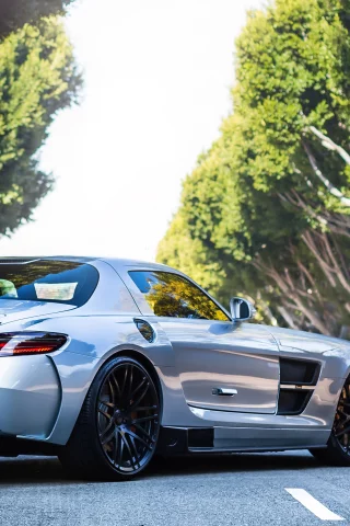 sls, мерседес, амг, silver, road, mercedes, серебро, tree, amg, back