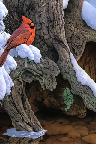 дерево, зима, the witness tree, снег, jerry gadamus, птица, живопись