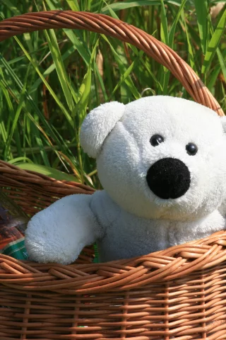 игрушка, настроение, обои, зелень, корзина, отдых, лето