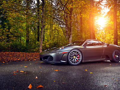 autumn, ferrari, wheels, asphalt, 430, leaf, silver, tuning, green, trees, sun