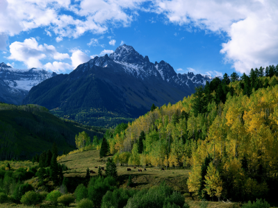 осень, деревья, горы, природа, холмы, небо, лес, облака