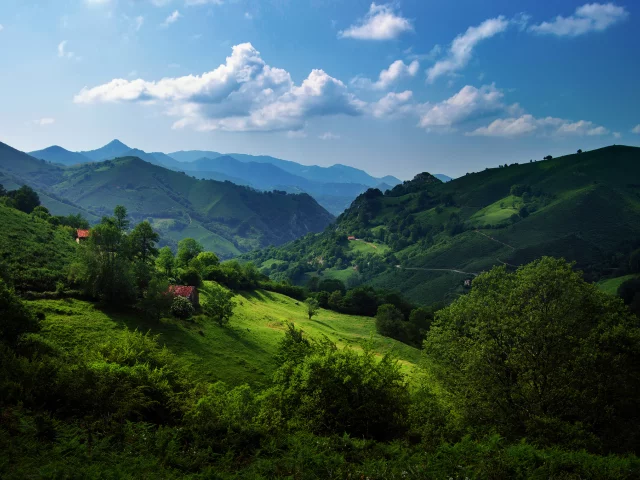 холмы, астурия, испания, кантабрийские горы, зелень