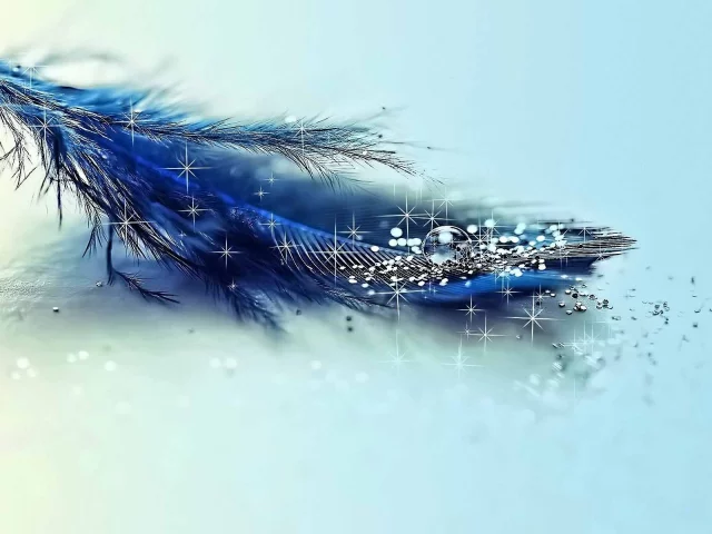 блестит, тень, перо, капля, вода