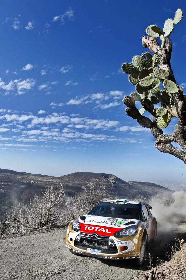 гонка, небо, день, citroen, ралли, спорт, wrc, скорость, rally, ds3