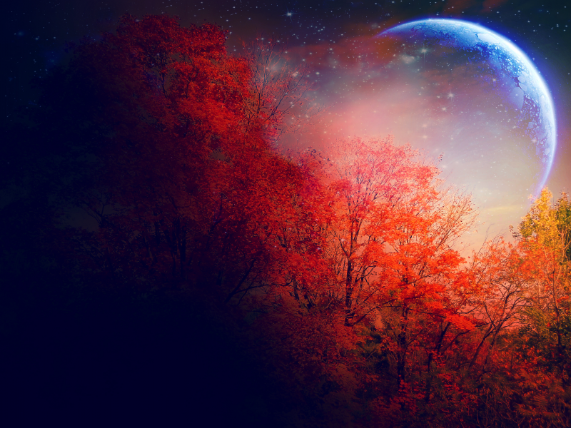  красные, звёзды, деревья, луна, осень
