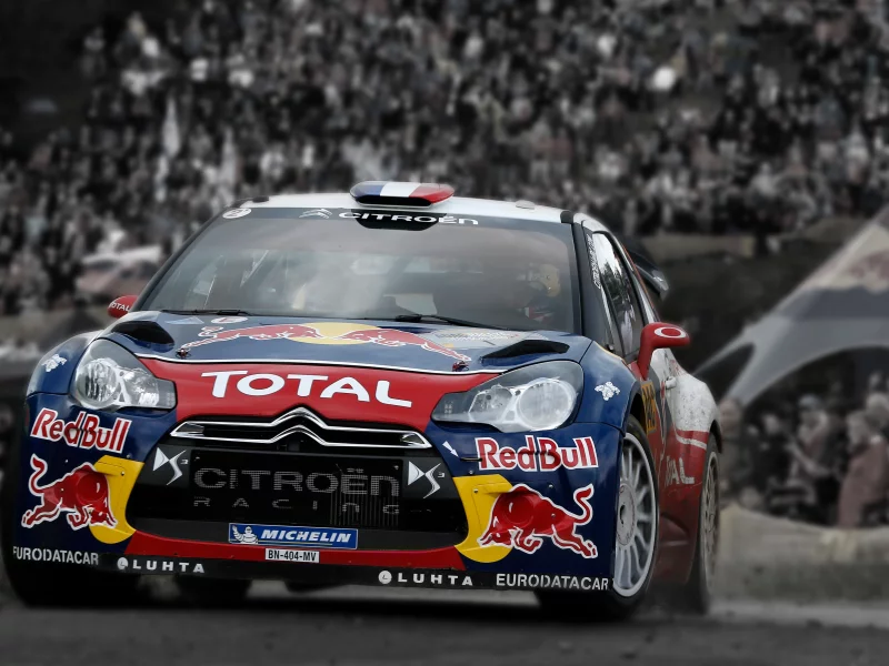фанаты, авто, citroen, соревнования, ds3, логотип, wrc, rally