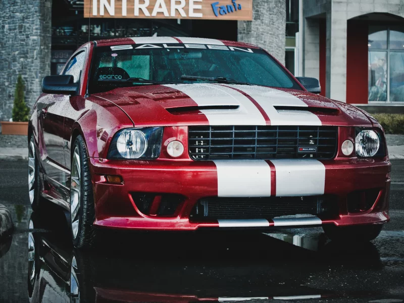 saleen, красный, red, мустанг, ford mustang, форд, rain, white, дождь