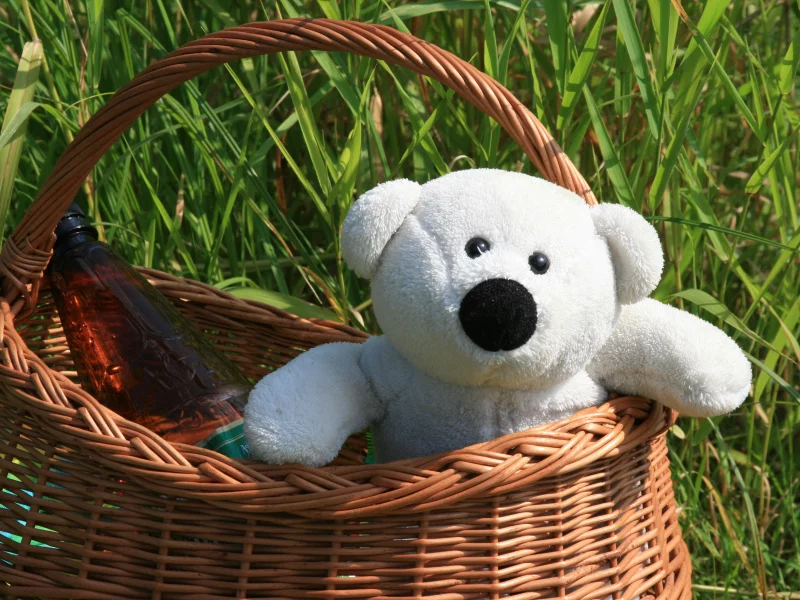 игрушка, настроение, обои, зелень, корзина, отдых, лето