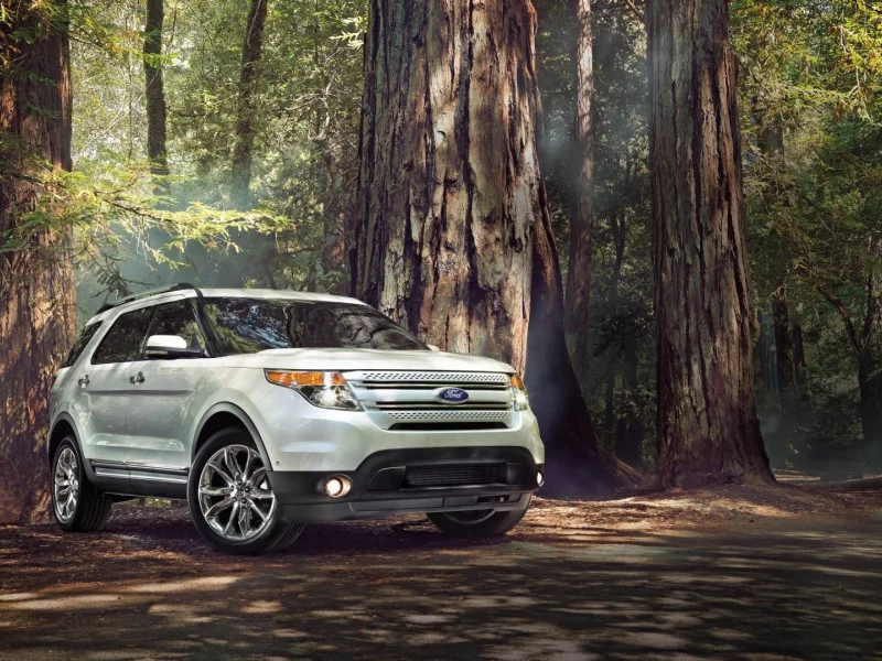 ford, лес, explorer, внедорожник, форд, sport