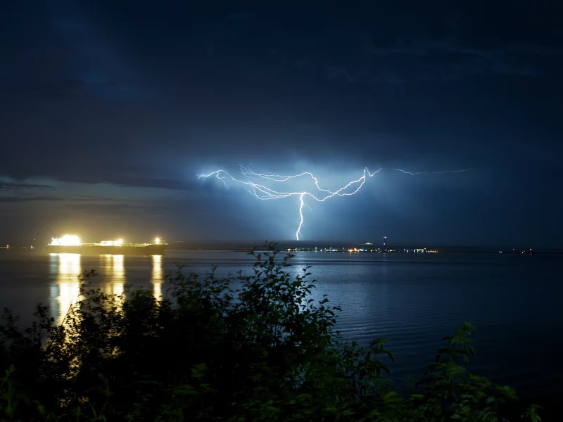деревья, дерево, океан, листочки, листья, море, природа