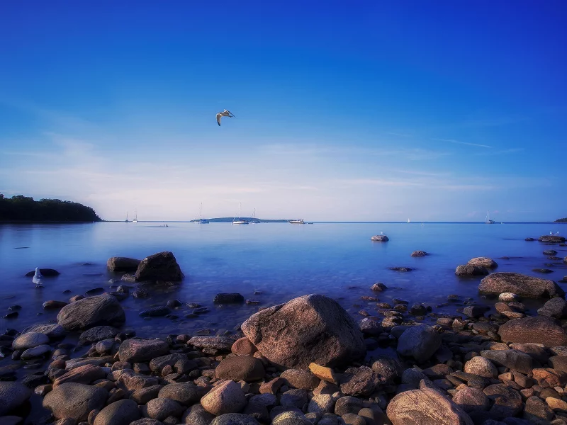 awenda provincial park, природа, небо, ontario, canada, чайки, камни