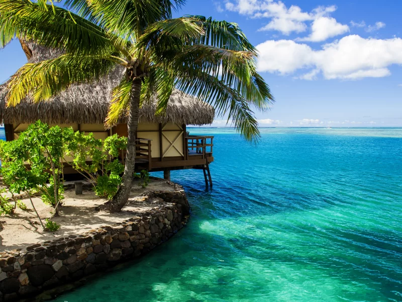 maldives, бунгало, пальма, домик, вода, океан, мальдивы